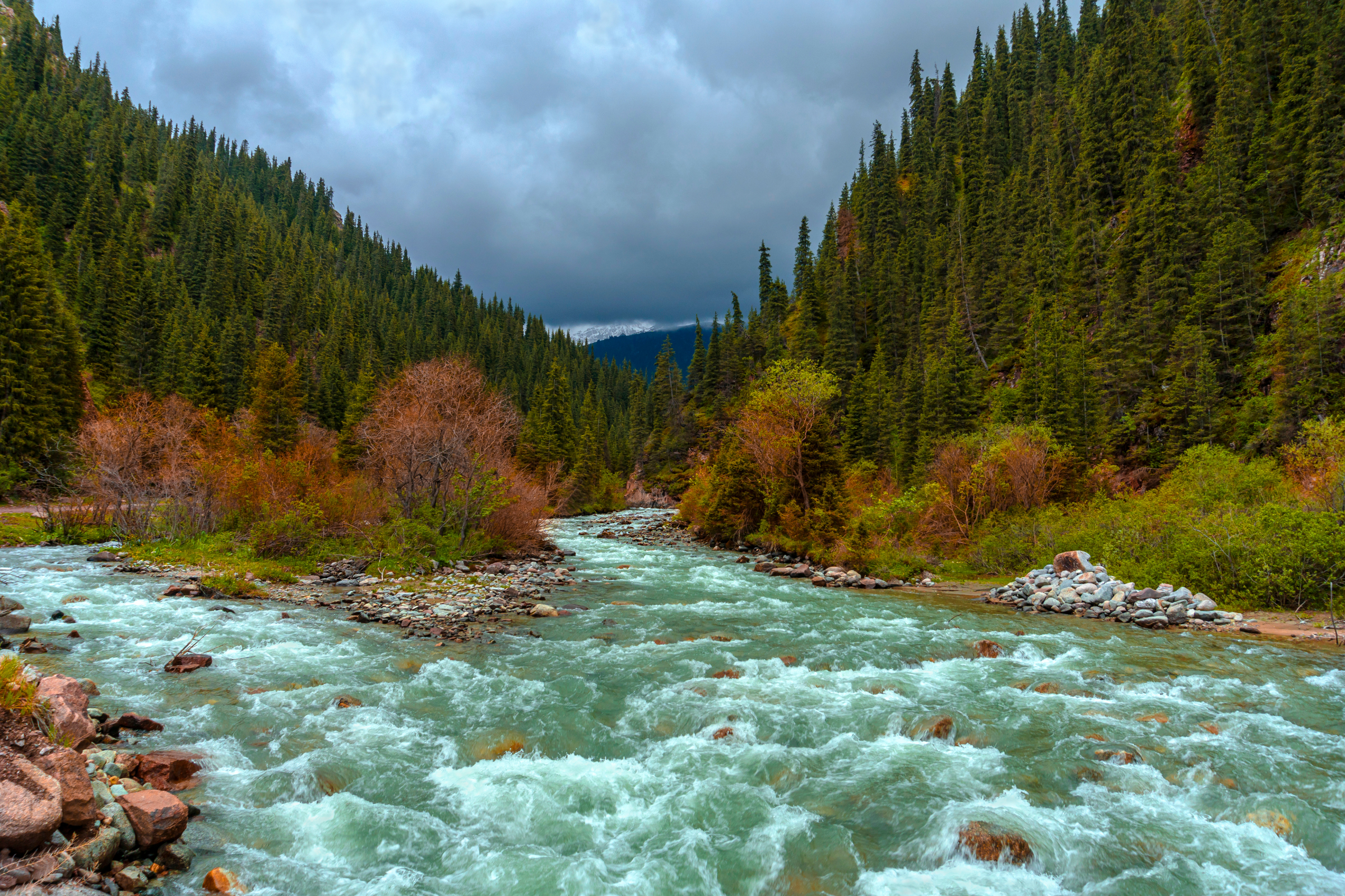 jety - oguz (4).webp